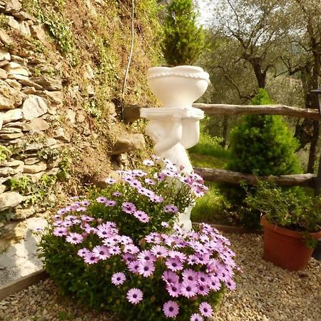 Casa Vacanze Sole Borghetto d'Arroscia Екстер'єр фото