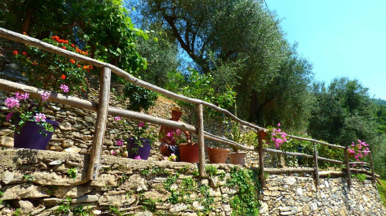 Casa Vacanze Sole Borghetto d'Arroscia Екстер'єр фото